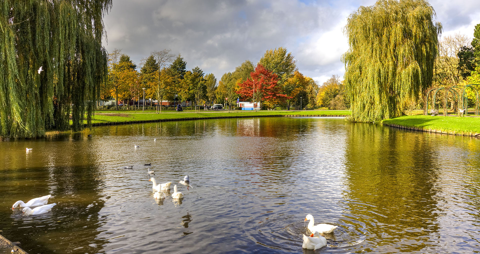 stadspark kampen vogelgroepkampen
