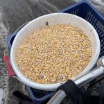 611245661 888431670374318 259042538977341949 n